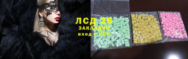 хмурый Верея