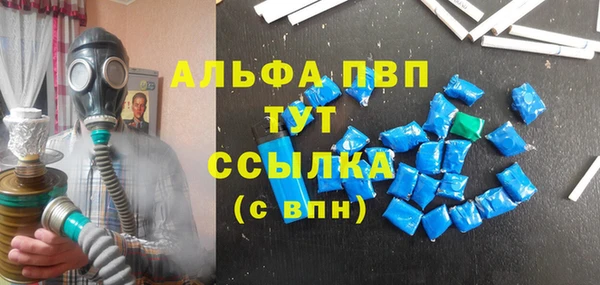 хмурый Верея