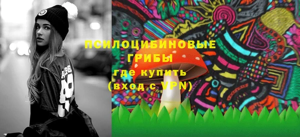 хмурый Верея