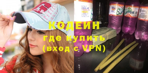 хмурый Верея